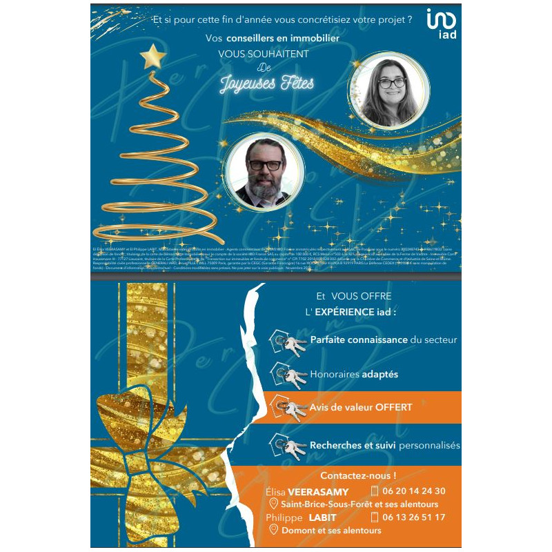Flyer Carte Postale 2 - Fêtes de fin d'année - Réseau iad