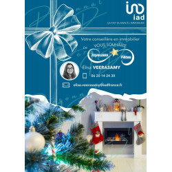 Flyer A4 - Noël 1 - Réseau iad
